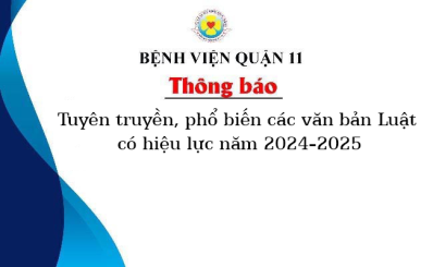Tuyên truyền, phổ biến các văn bản Luật có hiệu lực năm 2024-2025